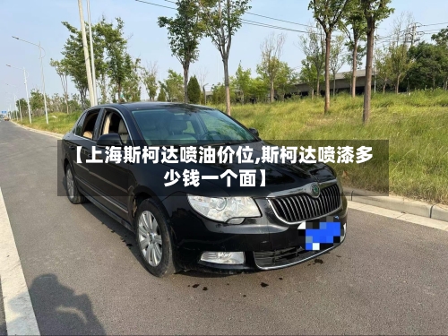 【上海斯柯达喷油价位,斯柯达喷漆多少钱一个面】-第3张图片