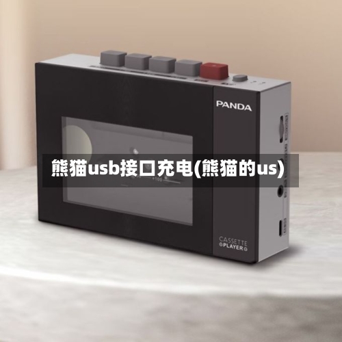 熊猫usb接口充电(熊猫的us)