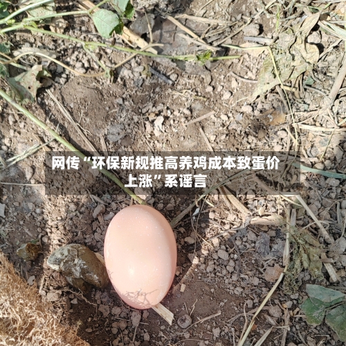 网传“环保新规推高养鸡成本致蛋价上涨”系谣言-第2张图片
