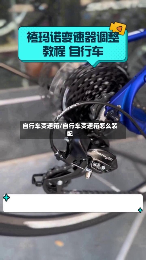 自行车变速箱/自行车变速箱怎么装配