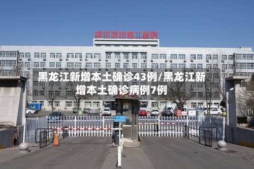 黑龙江新增本土确诊43例/黑龙江新增本土确诊病例7例-第2张图片