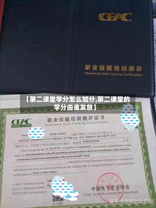 【第二课堂学分怎么加分,第二课堂的学分由谁发放】-第2张图片