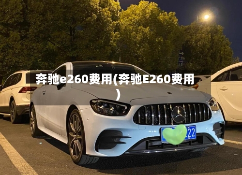 奔驰e260费用(奔驰E260费用)-第2张图片