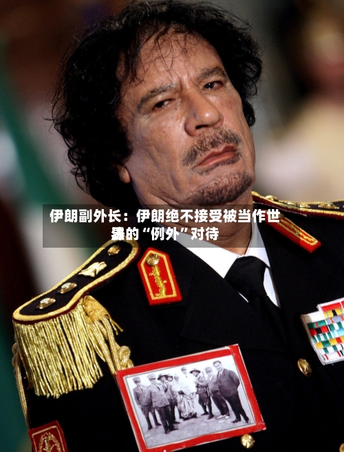 伊朗副外长：伊朗绝不接受被当作世界法的“例外”对待-第2张图片