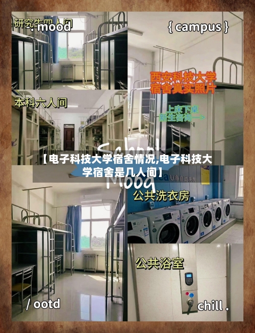 【电子科技大学宿舍情况,电子科技大学宿舍是几人间】-第3张图片