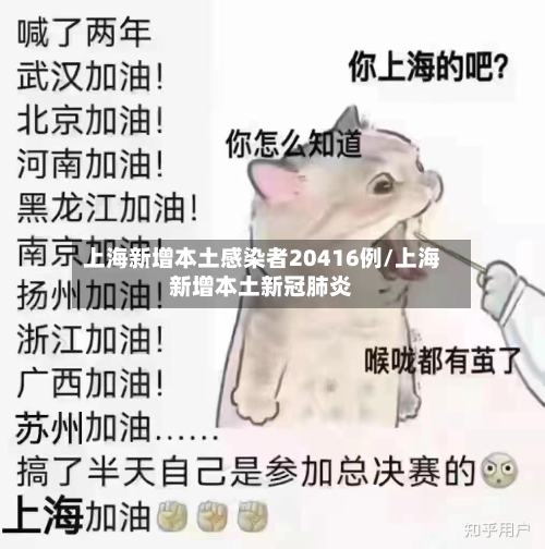 上海新增本土感染者20416例/上海新增本土新冠肺炎