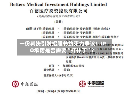 一份判决引发招股书约束力争议！IPO承诺是否需要“打补丁	”？-第2张图片