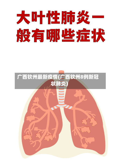 广西钦州最新疫情(广西钦州8例新冠状肺炎)-第3张图片