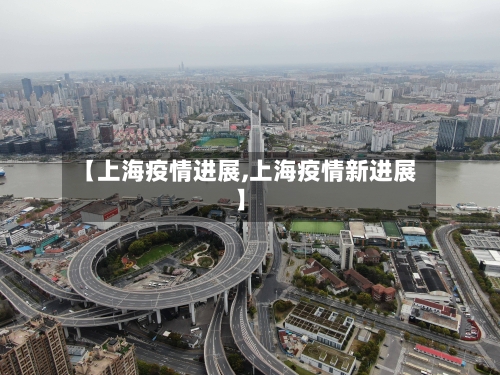 【上海疫情进展,上海疫情新进展】-第3张图片