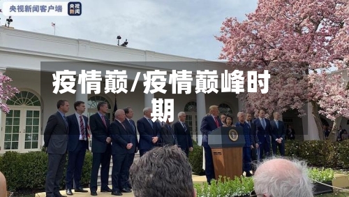 疫情巅/疫情巅峰时期-第2张图片
