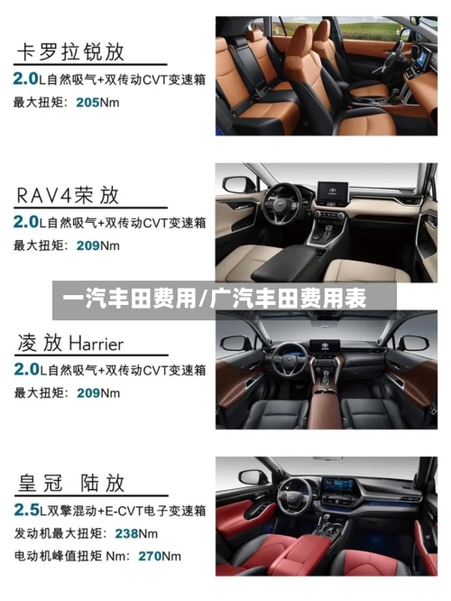 一汽丰田费用/广汽丰田费用表-第2张图片