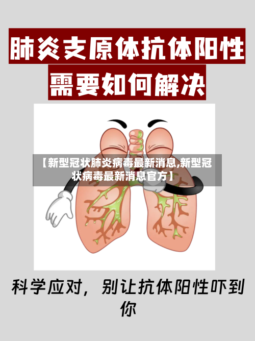 【新型冠状肺炎病毒最新消息,新型冠状病毒最新消息官方】-第2张图片