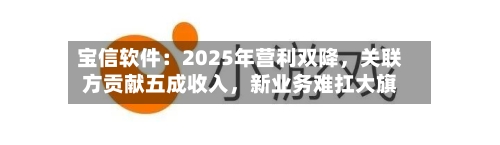 宝信软件：2025年营利双降，关联方贡献五成收入	，新业务难扛大旗-第2张图片