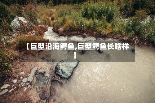 【巨型沿海鳄鱼,巨型鳄鱼长啥样】