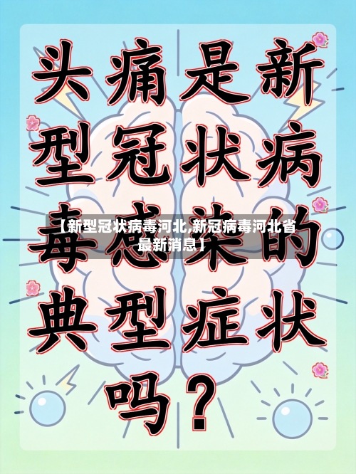 【新型冠状病毒河北,新冠病毒河北省最新消息】-第2张图片
