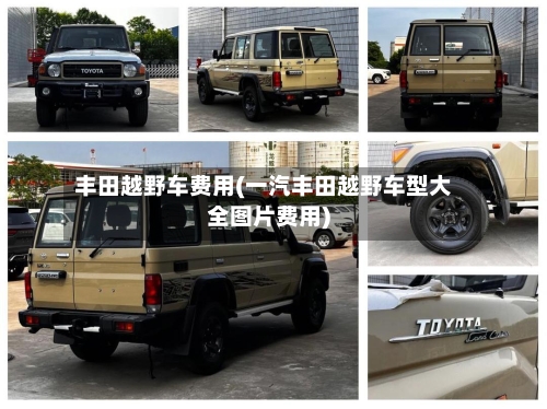 丰田越野车费用(一汽丰田越野车型大全图片费用)