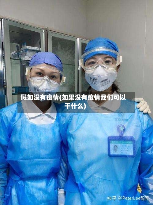 假如没有疫情(如果没有疫情我们可以干什么)
