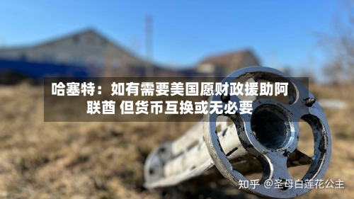 哈塞特：如有需要美国愿财政援助阿联酋 但货币互换或无必要-第2张图片