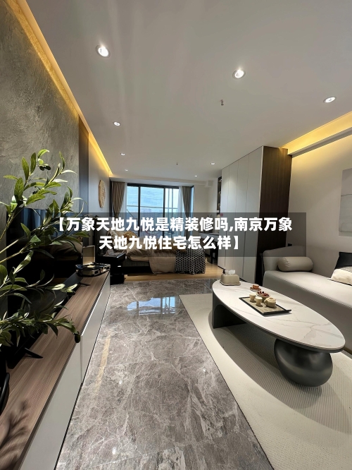 【万象天地九悦是精装修吗,南京万象天地九悦住宅怎么样】-第2张图片