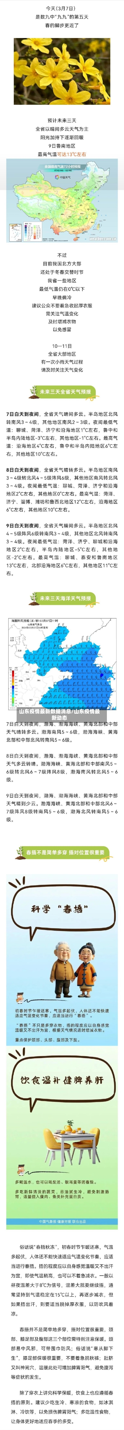 山东疫情最新数据消息/山东疫情最新动态-第2张图片