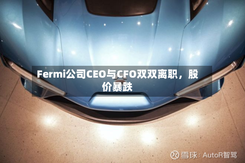 Fermi公司CEO与CFO双双离职，股价暴跌