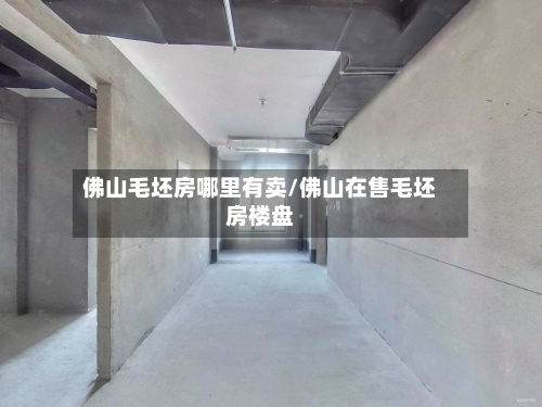 佛山毛坯房哪里有卖/佛山在售毛坯房楼盘-第3张图片