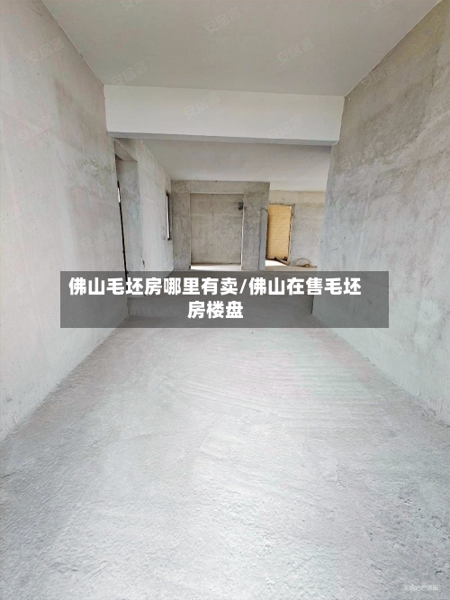 佛山毛坯房哪里有卖/佛山在售毛坯房楼盘-第2张图片