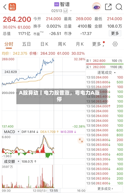 A股异动丨电力股普涨，粤电力A涨停