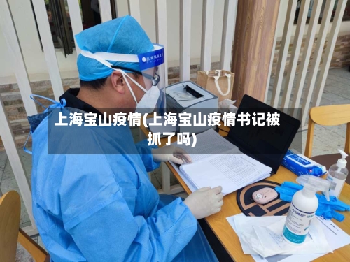 上海宝山疫情(上海宝山疫情书记被抓了吗)
