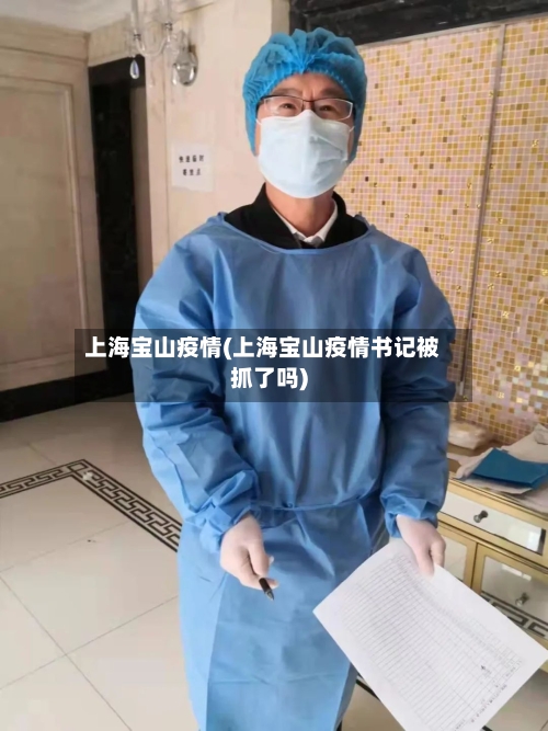上海宝山疫情(上海宝山疫情书记被抓了吗)-第3张图片