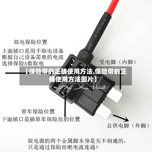 【保险带的正确使用方法,保险带的正确使用方法图片】-第2张图片