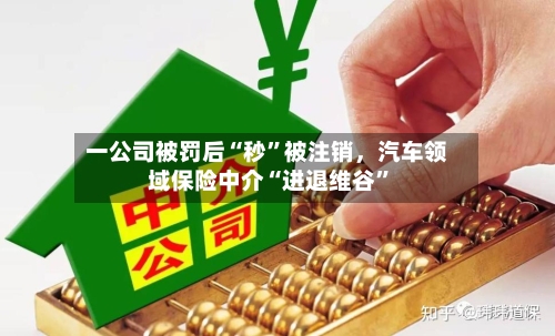 一公司被罚后“秒	”被注销，汽车领域保险中介“进退维谷”-第3张图片