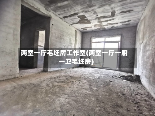 两室一厅毛坯房工作室(两室一厅一厨一卫毛坯房)-第2张图片