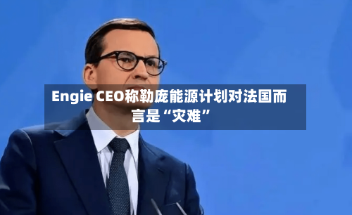 Engie CEO称勒庞能源计划对法国而言是“灾难”-第2张图片