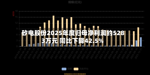 矽电股份2025年度归母净利润约5283万元 同比下降42.5%-第3张图片