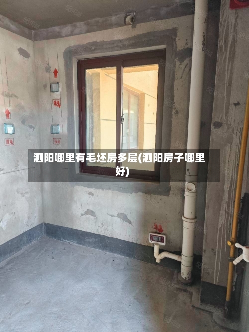 泗阳哪里有毛坯房多层(泗阳房子哪里好)-第2张图片