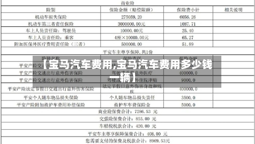 【宝马汽车费用,宝马汽车费用多少钱一辆】-第2张图片