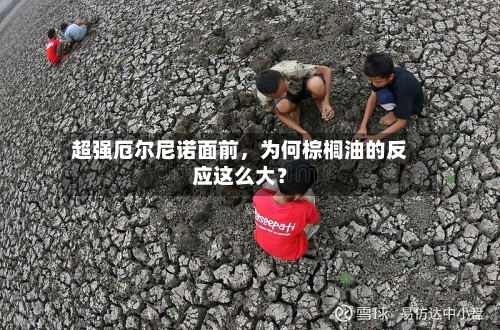 超强厄尔尼诺面前	，为何棕榈油的反应这么大？-第2张图片