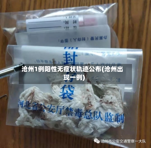 沧州1例阳性无症状轨迹公布(沧州出现一例)-第2张图片