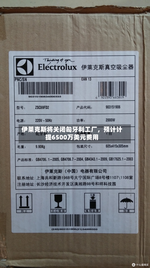伊莱克斯将关闭匈牙利工厂	，预计计提6500万美元费用-第3张图片