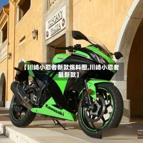 【川崎小忍者新款爆料图,川崎小忍者最新款】-第2张图片
