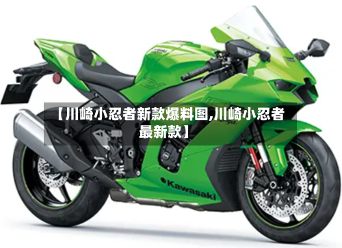 【川崎小忍者新款爆料图,川崎小忍者最新款】