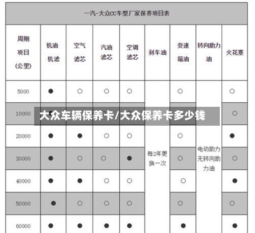 大众车辆保养卡/大众保养卡多少钱
