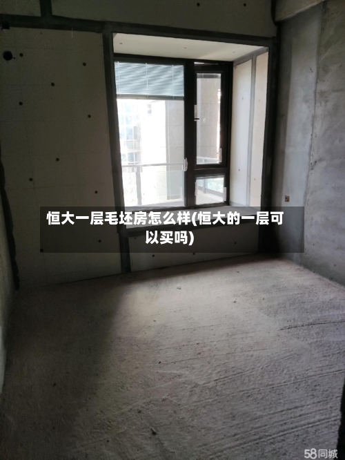 恒大一层毛坯房怎么样(恒大的一层可以买吗)