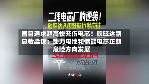 盲目追求超高快充伤电芯！欣旺达副总裁梁锐：动力电池和储能电芯正朝危险方向发展-第2张图片