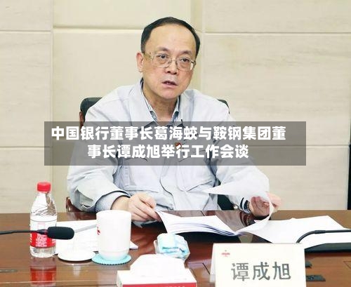 中国银行董事长葛海蛟与鞍钢集团董事长谭成旭举行工作会谈-第2张图片