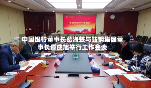 中国银行董事长葛海蛟与鞍钢集团董事长谭成旭举行工作会谈