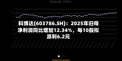 科博达(603786.SH)：2025年归母净利润同比增加12.34%，每10股拟派利6.2元