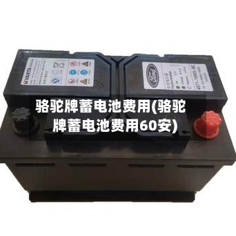 骆驼牌蓄电池费用(骆驼牌蓄电池费用60安)