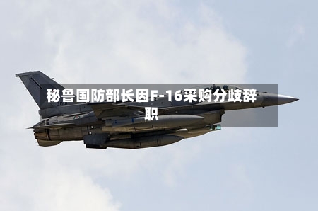 秘鲁国防部长因F-16采购分歧辞职-第2张图片